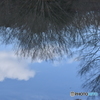 逆さまの空