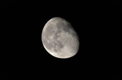 The light of the moon 