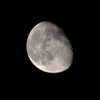 The light of the moon 