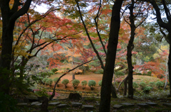 林の中で