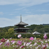 秋を感じて