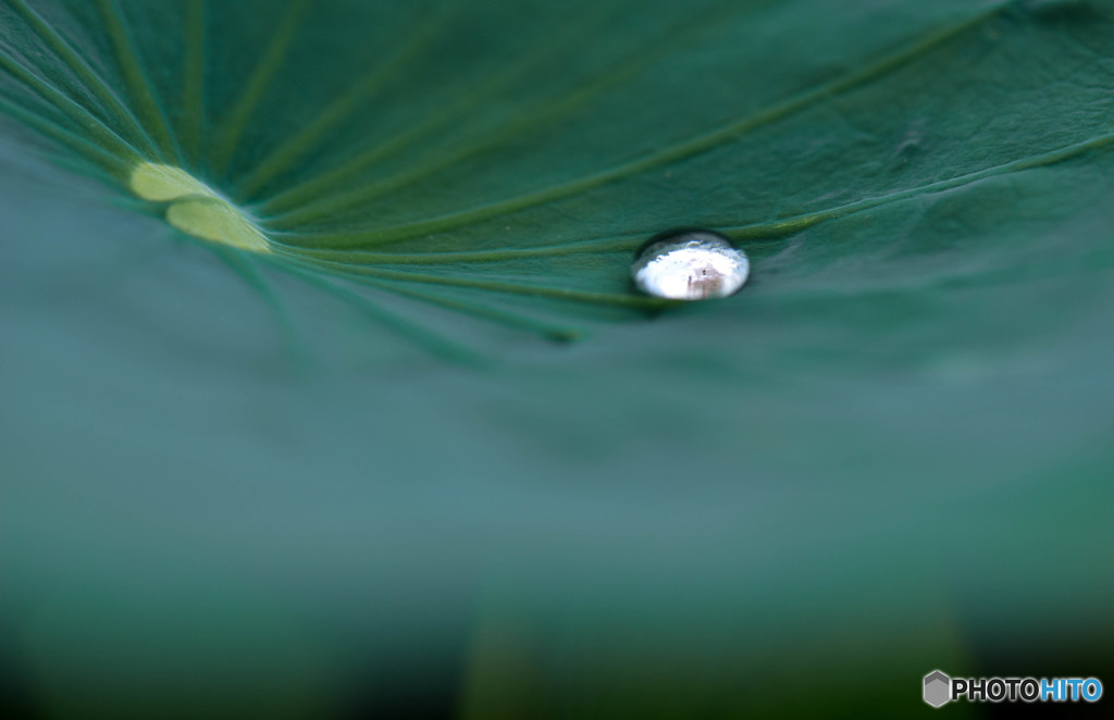 Water Drop