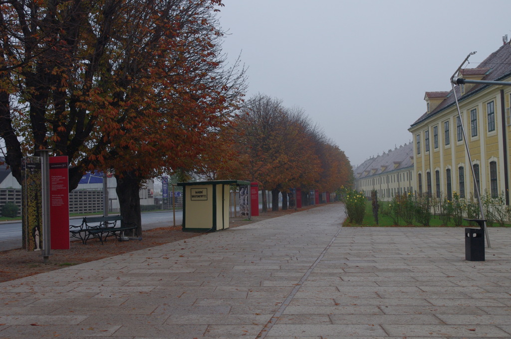 雨上がりの歩道