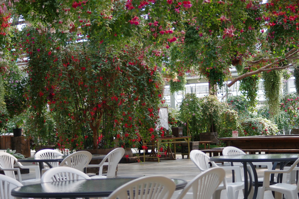 神戸花鳥園１７