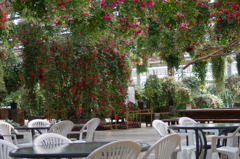 神戸花鳥園１７