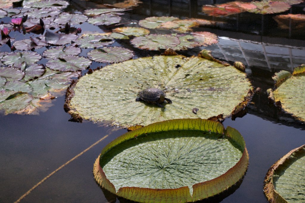 エエ天気やなぁ～