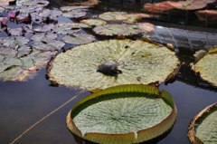 エエ天気やなぁ～