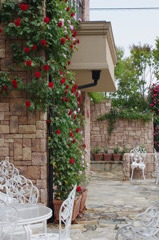 Rose Garden 4