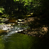 木漏れ日の中、渓流にて