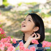 穏やかな春の日、満開のツツジ