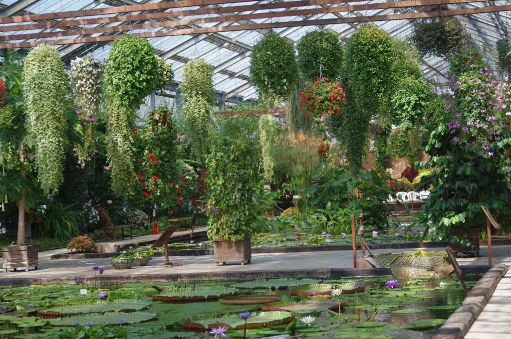 神戸花鳥園３１