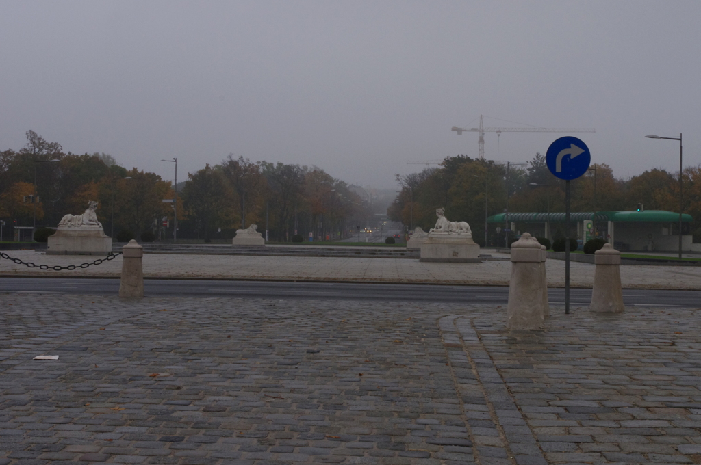 雨上がりの歩道 2