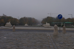 雨上がりの歩道 2