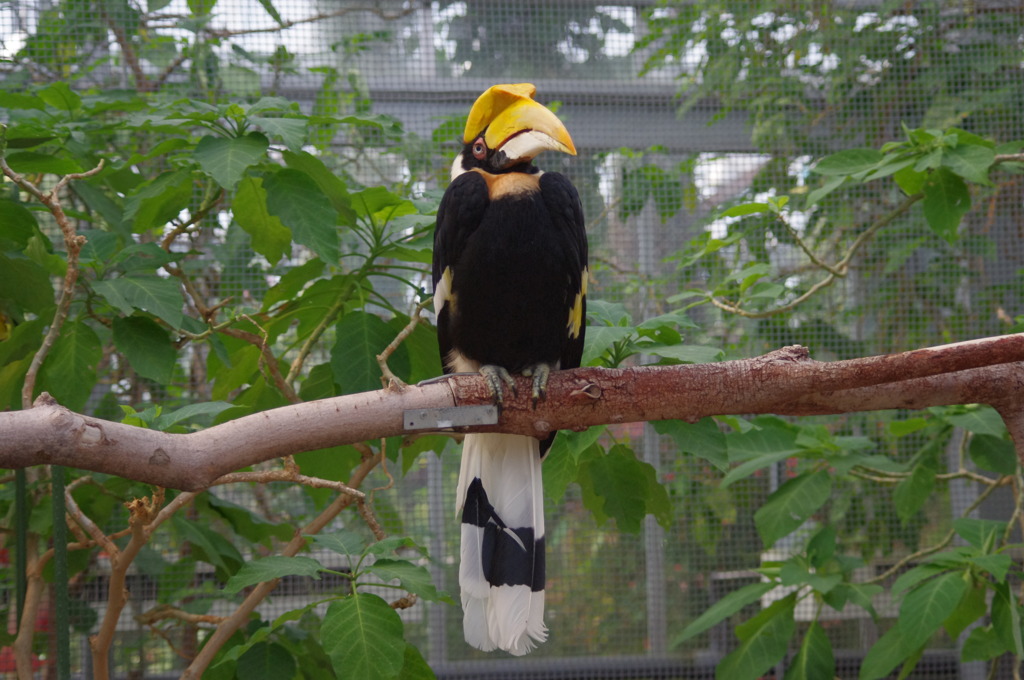 神戸花鳥園１３