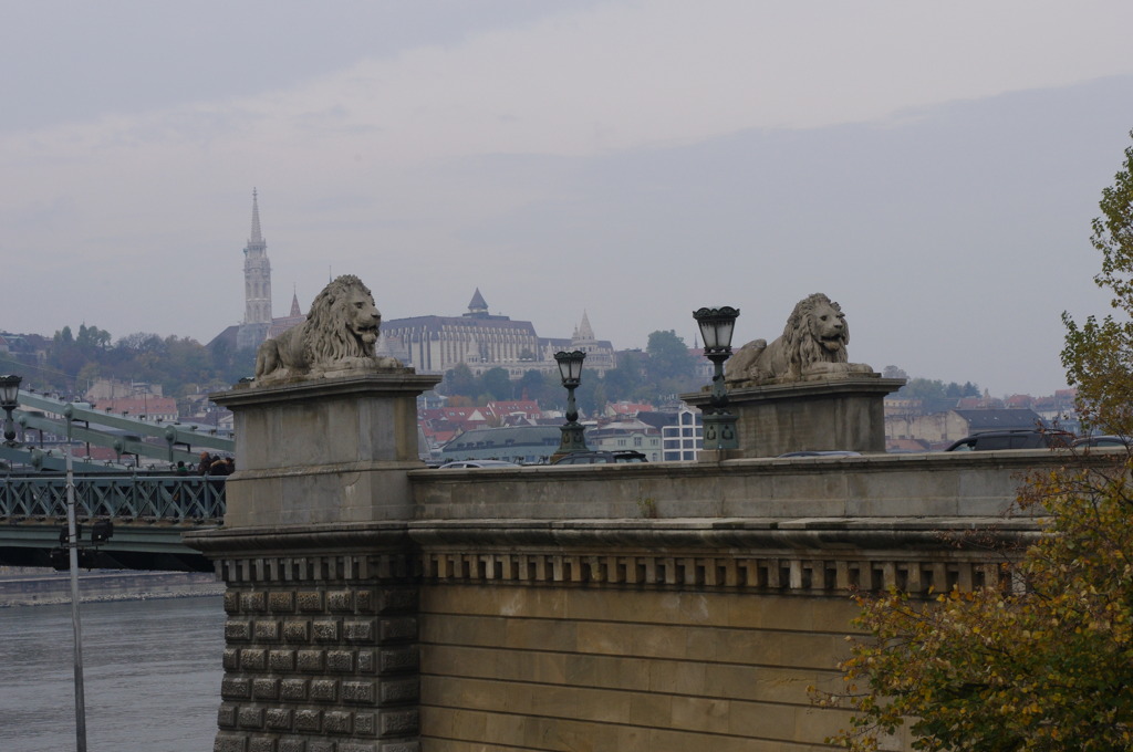 鎖橋のライオン
