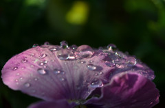 水滴