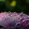 水滴