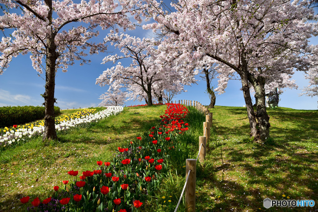 贅沢な風景