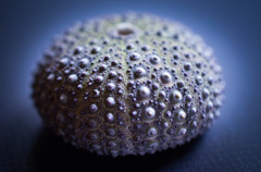 Question 2 - What is this ?