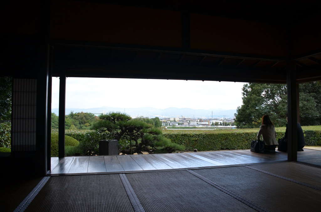 眺めの良い部屋