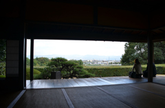 眺めの良い部屋