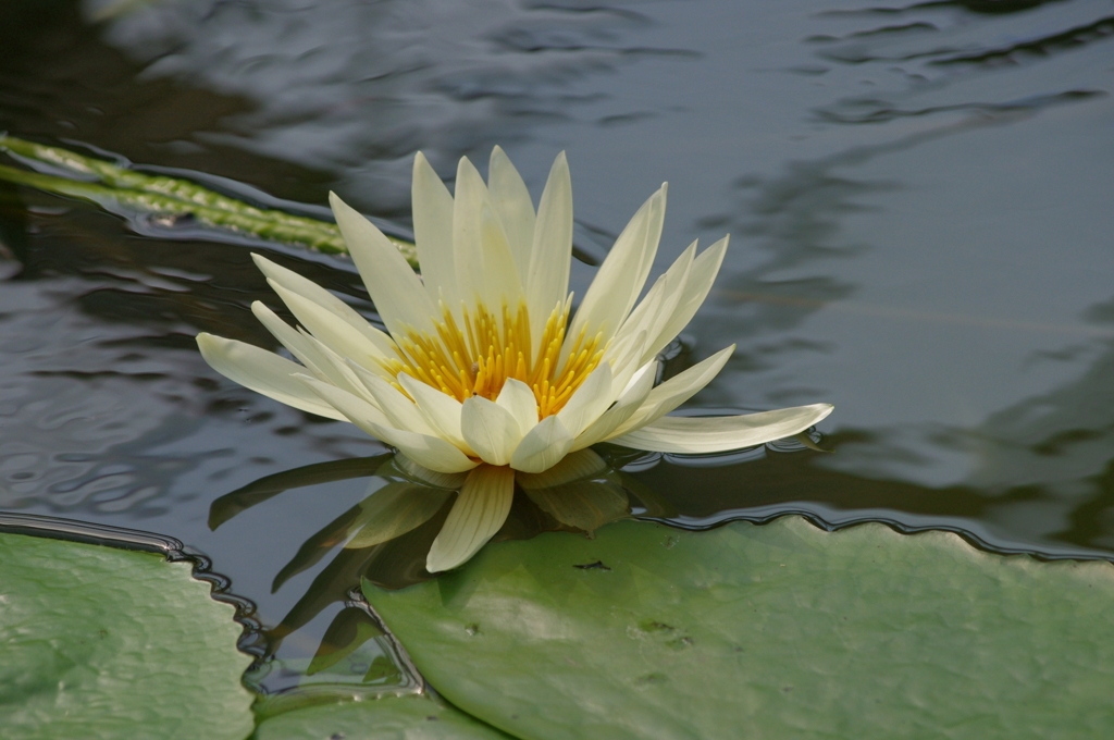 神戸花鳥園１９