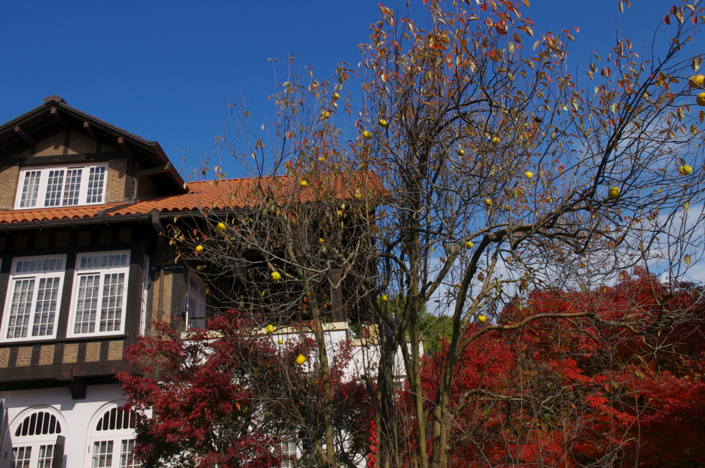 大山崎山荘美術館の紅葉