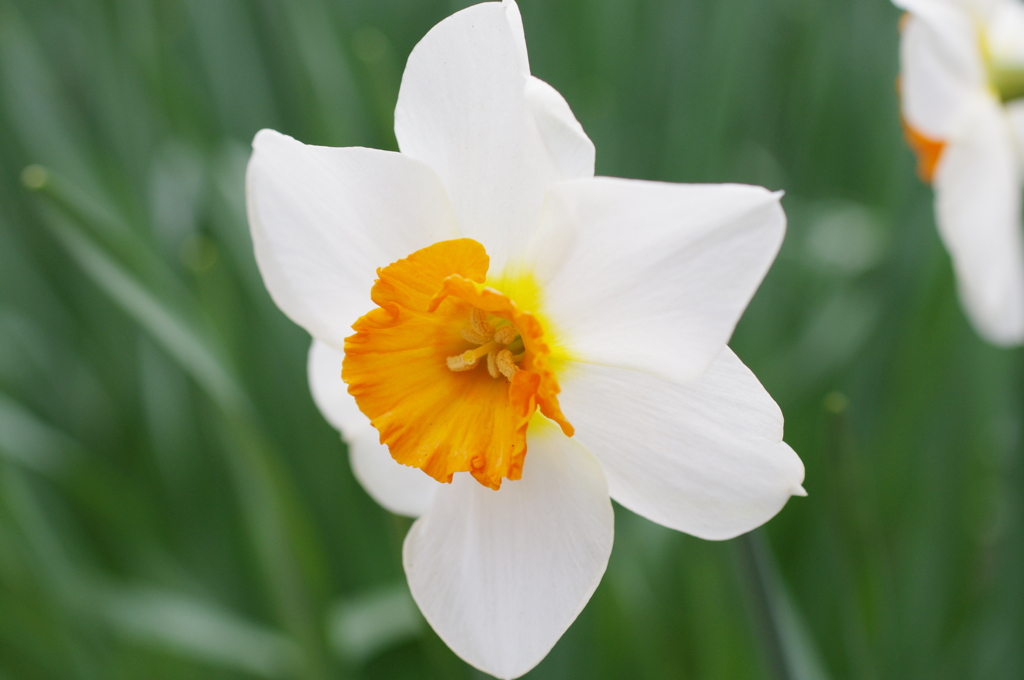 京都府立植物園で 5