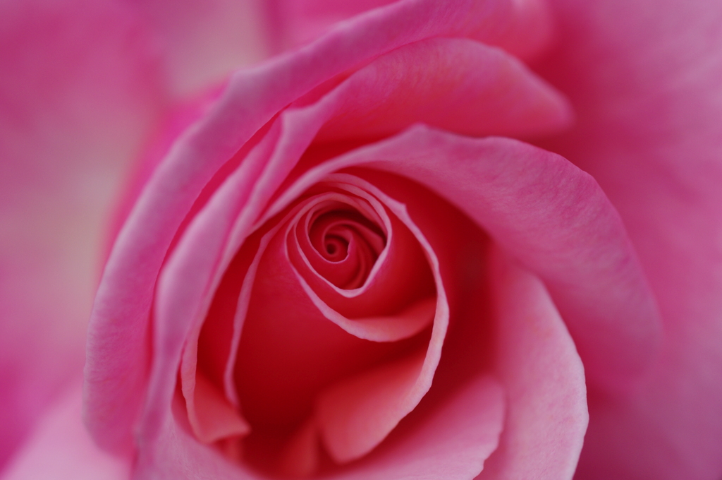 spiral 