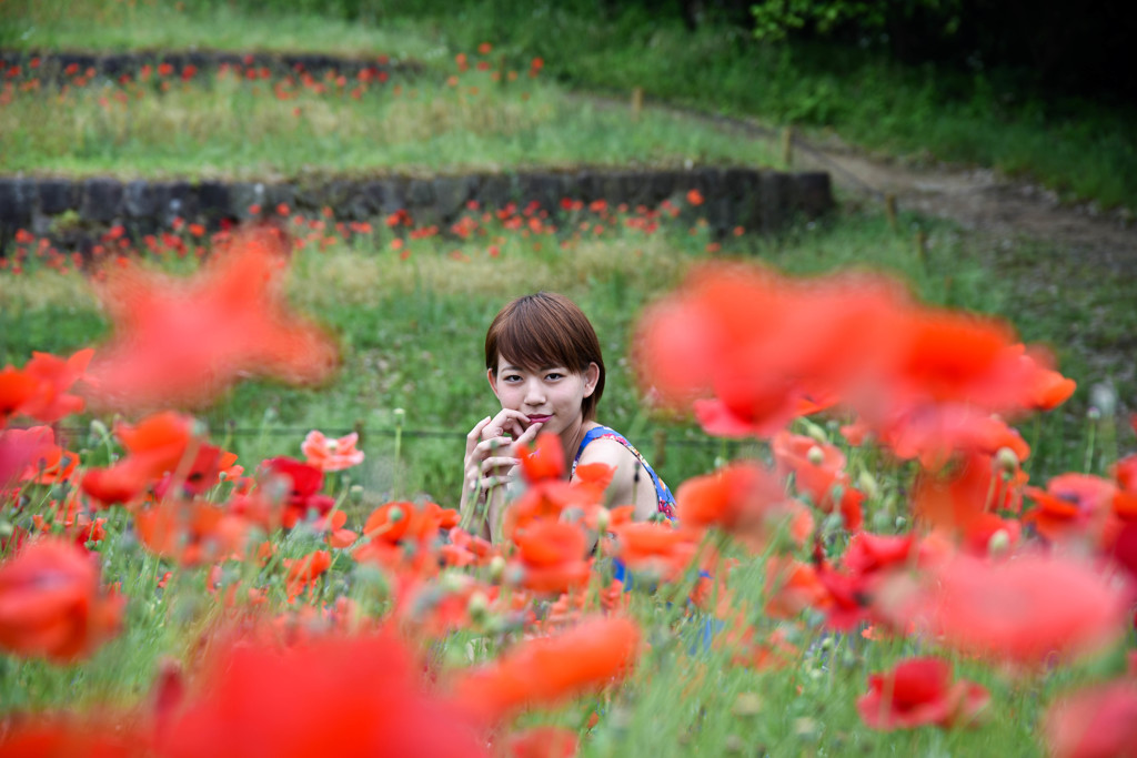 お花畑でつかまえて