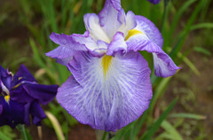 シンメトリー 7