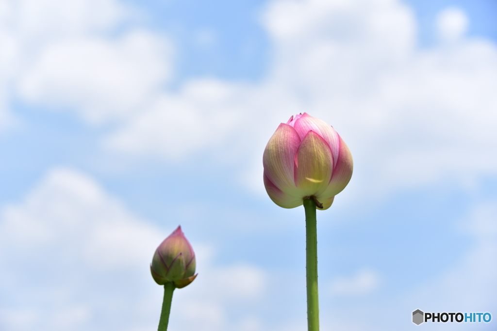 空へ