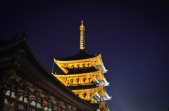 興福寺夜景