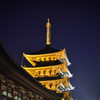 興福寺夜景