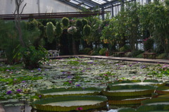 神戸花鳥園２９