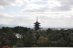 興福寺五重塔
