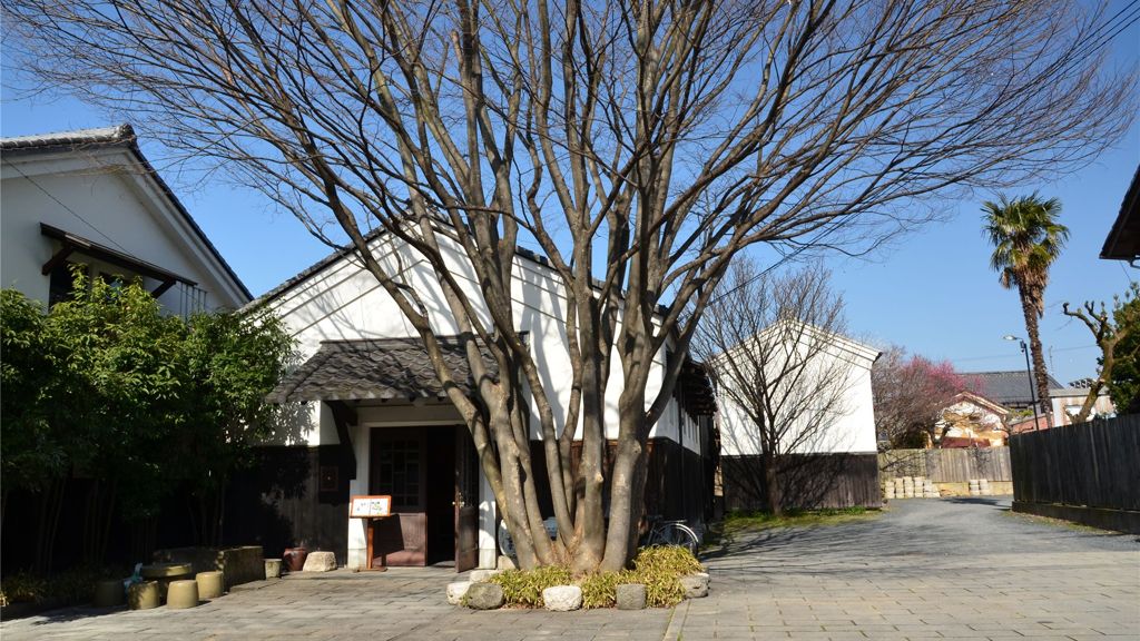 春の日差し