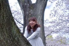 満開の桜の木の下で