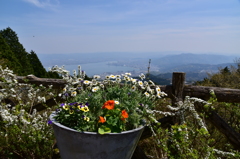 山頂のお花畑で