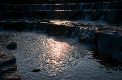 池の畔で