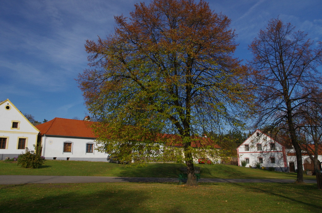 ホラショヴィツェで