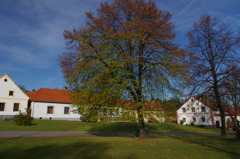 ホラショヴィツェで