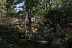 京都御所中庭で
