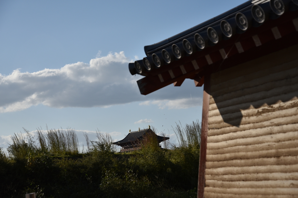 平城宮祉にてⅠ