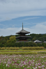 法起寺の秋