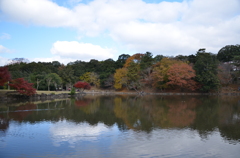 秋の日の池の畔