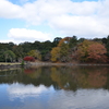 秋の日の池の畔