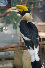 神戸花鳥園１１
