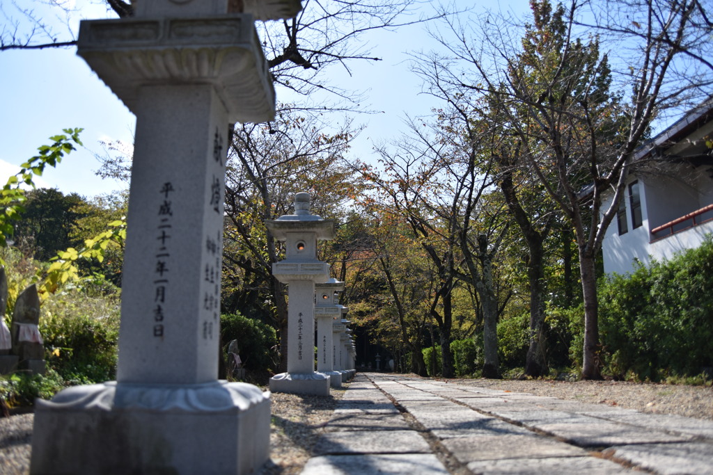参道の石畳