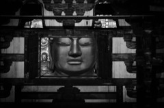 盧舎那仏を臨む
